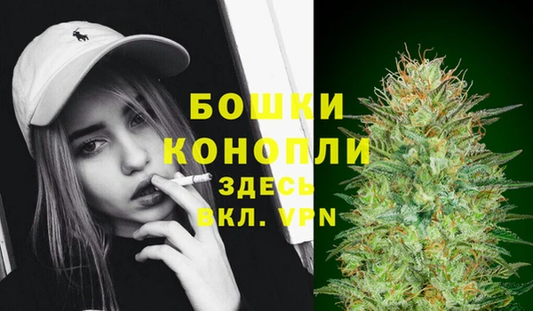 PSILOCYBIN Окуловка