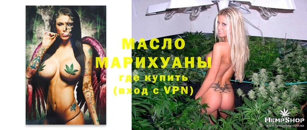 прущий лед Новозыбков