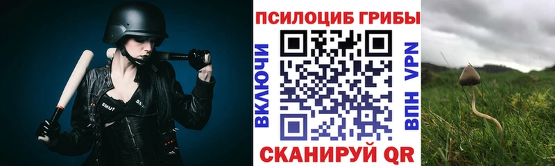 наркотики  mega зеркало  Галлюциногенные грибы ЛСД  Рузаевка 