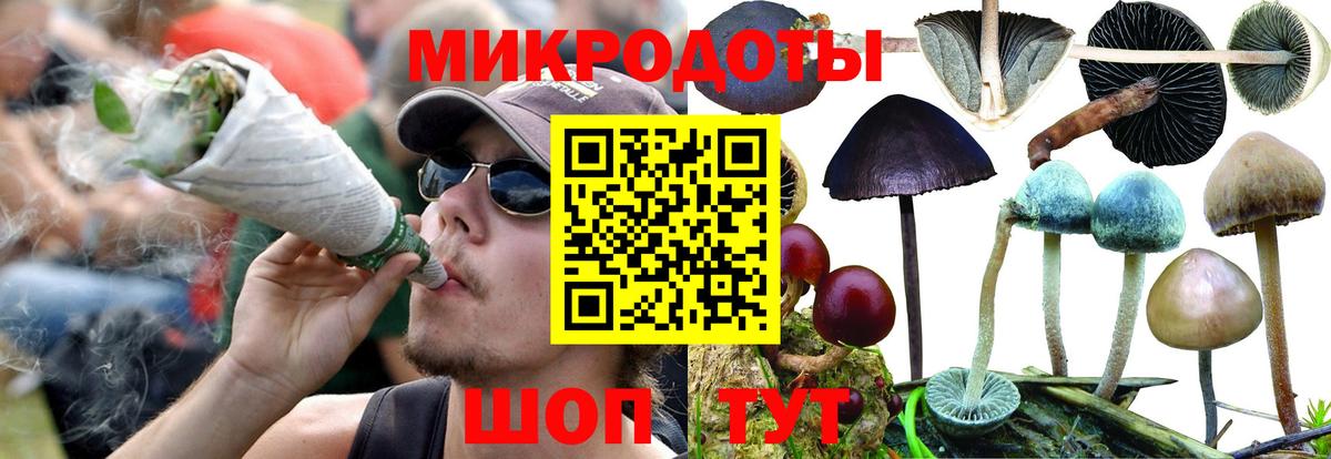 Галлюциногенные грибы мицелий  Вход с VPN  Рузаевка 