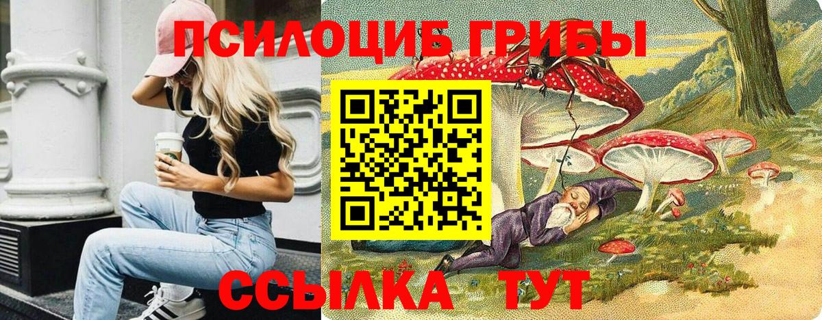 Псилоцибиновые грибы Psilocybine cubensis Рузаевка