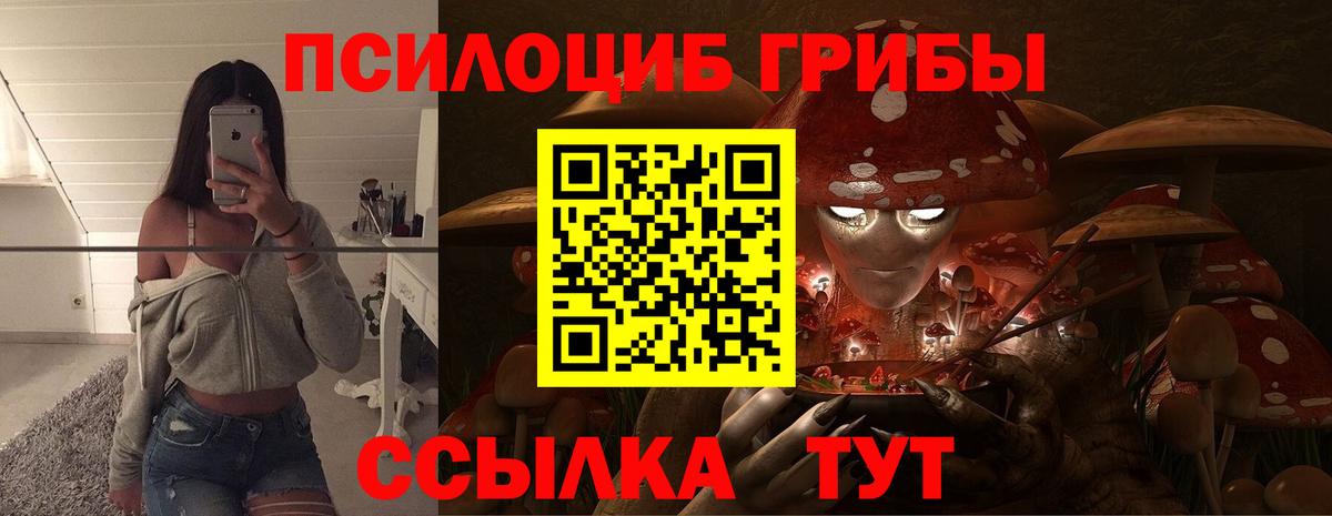 Галлюциногенные грибы Psilocybine cubensis Рузаевка